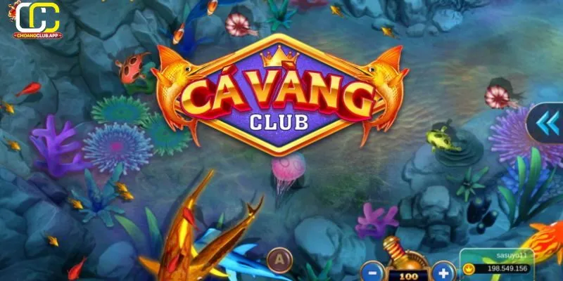 Giới thiệu về Cá Vàng Club và ChoangClub