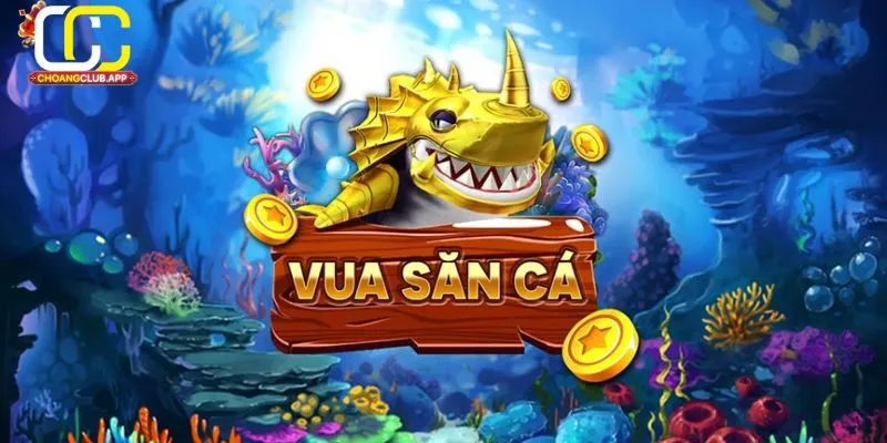 Hướng Dẫn Bắt Đầu Chơi Vua Săn Cá